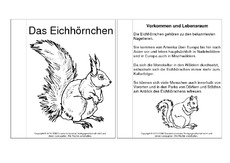 Mini-Buch-Eichhörnchen-Steckbrief.pdf